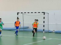 IMG_1208